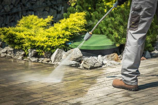 Boat and Dock Cleaning in Blaine, WA