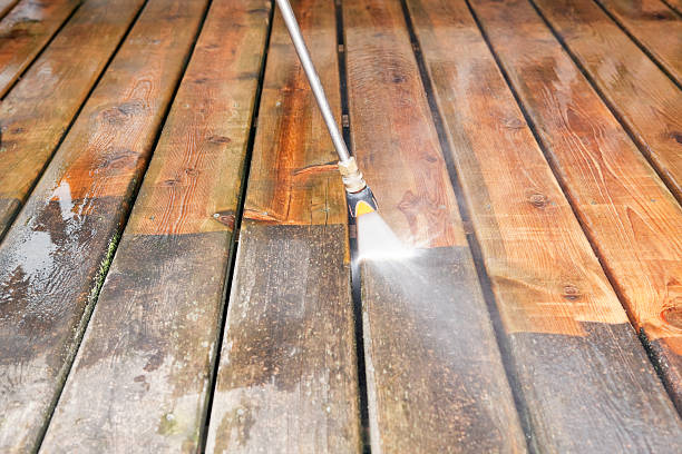Animal Enclosure Cleaning in Blaine, WA